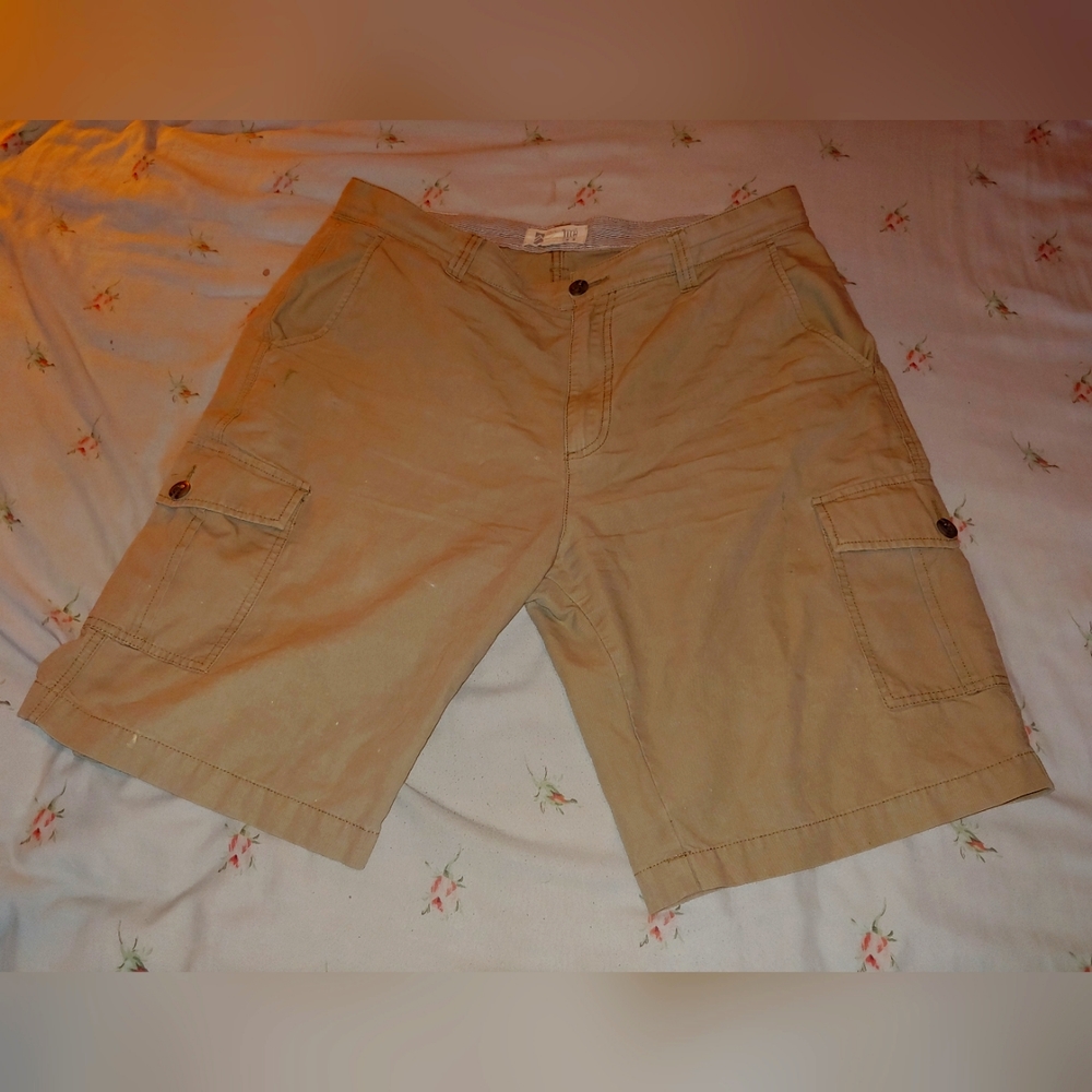 Alpine Design, 36 tan cargo shorts